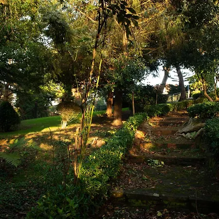 Apartment Garden Rock *